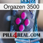 Orgazen 3500 02